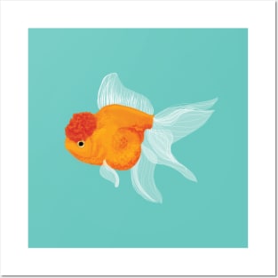 Goldfish Posters and Art